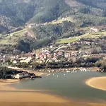 Arboliz