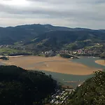 Arboliz