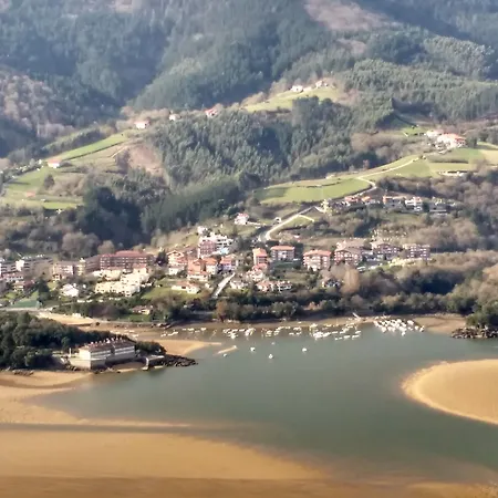 Arboliz